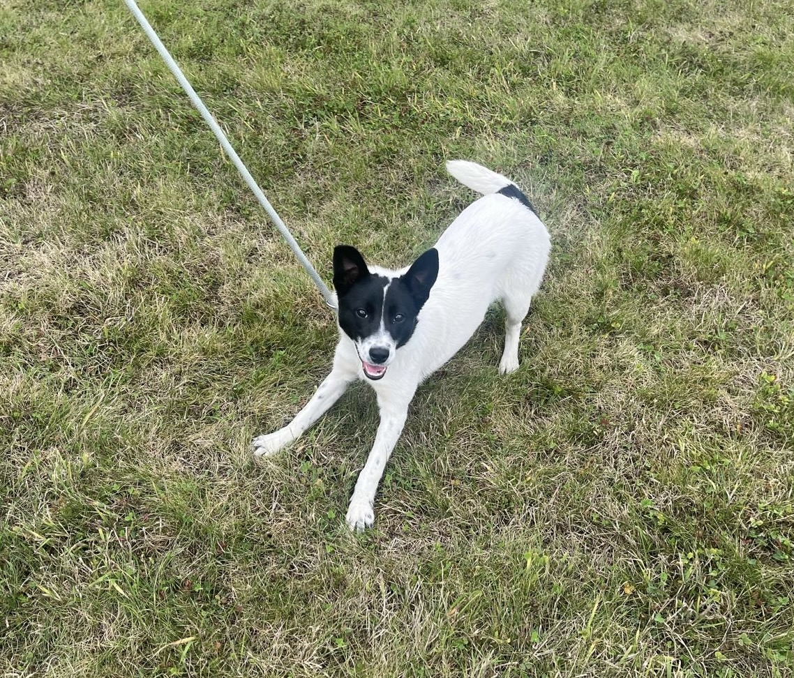 Chloe