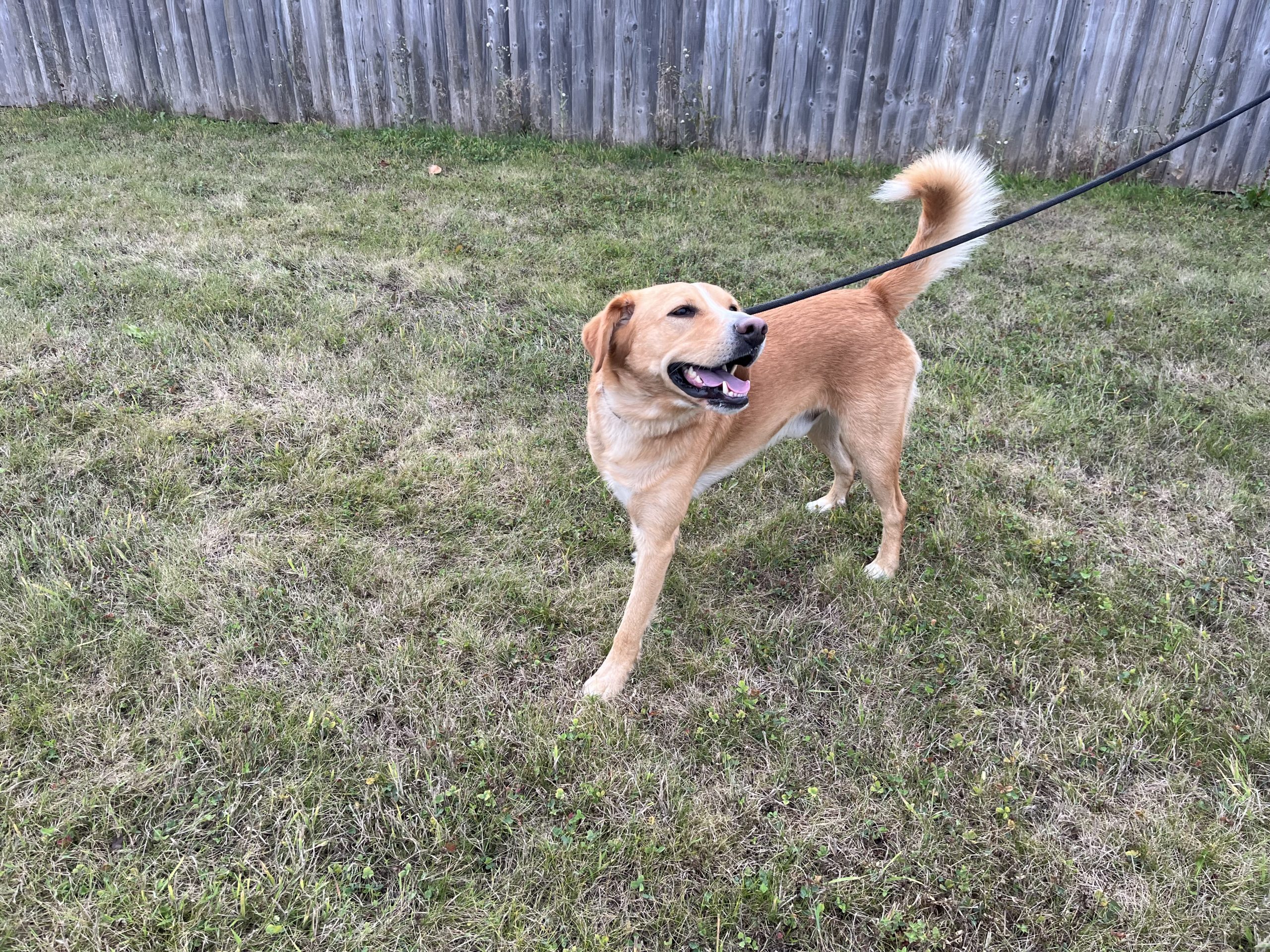 Hunter