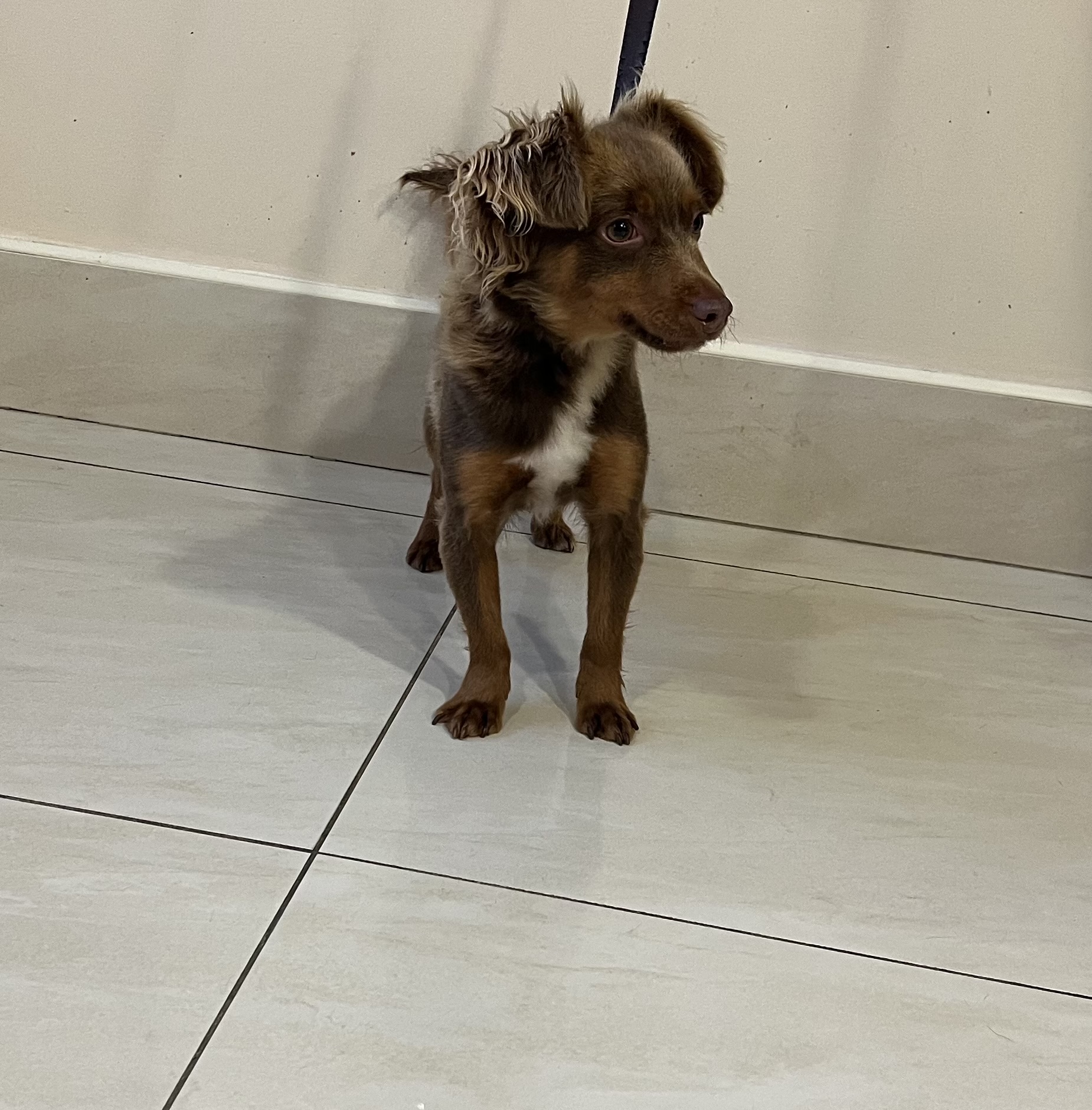 Pablo